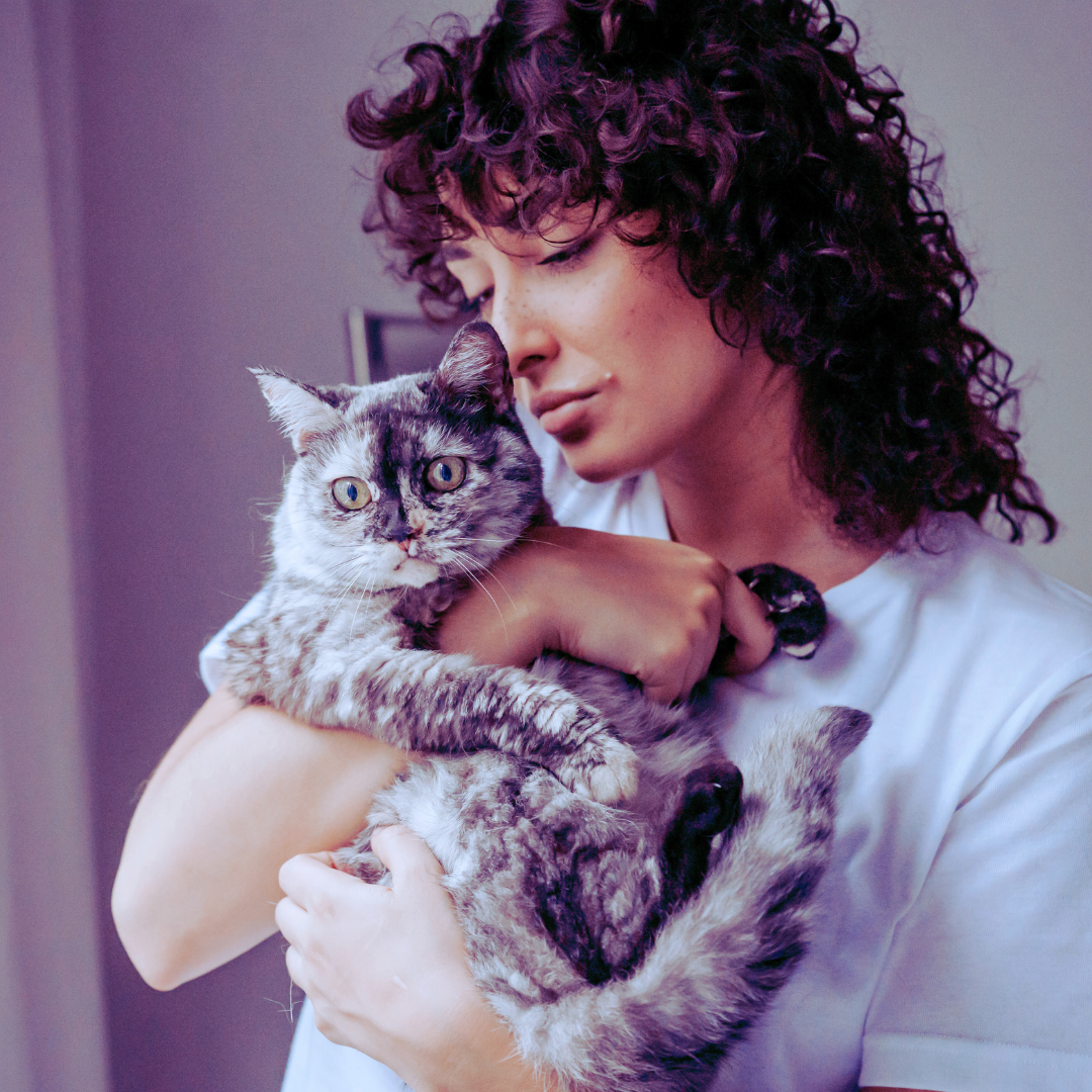 La gata se transforma